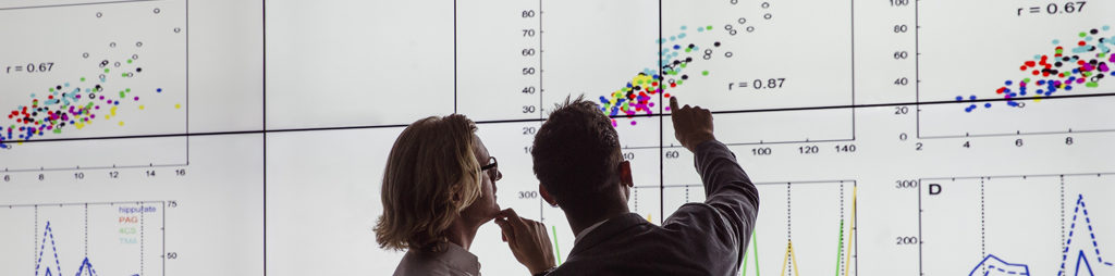 Rollout teams win through analytics