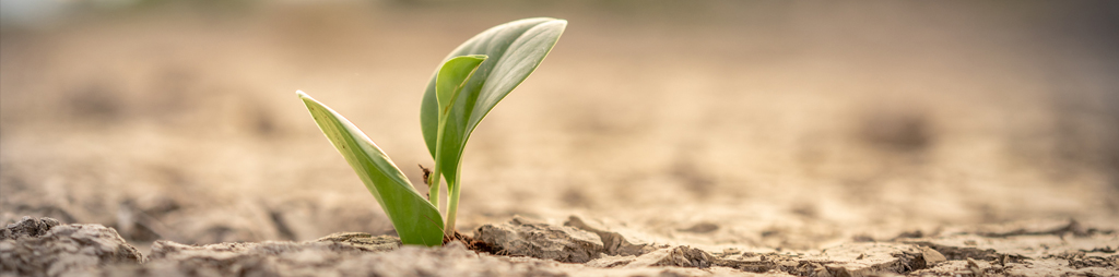 Beyond the lockdown: Changes in consumer attitudes and business realities that marketers need to address now